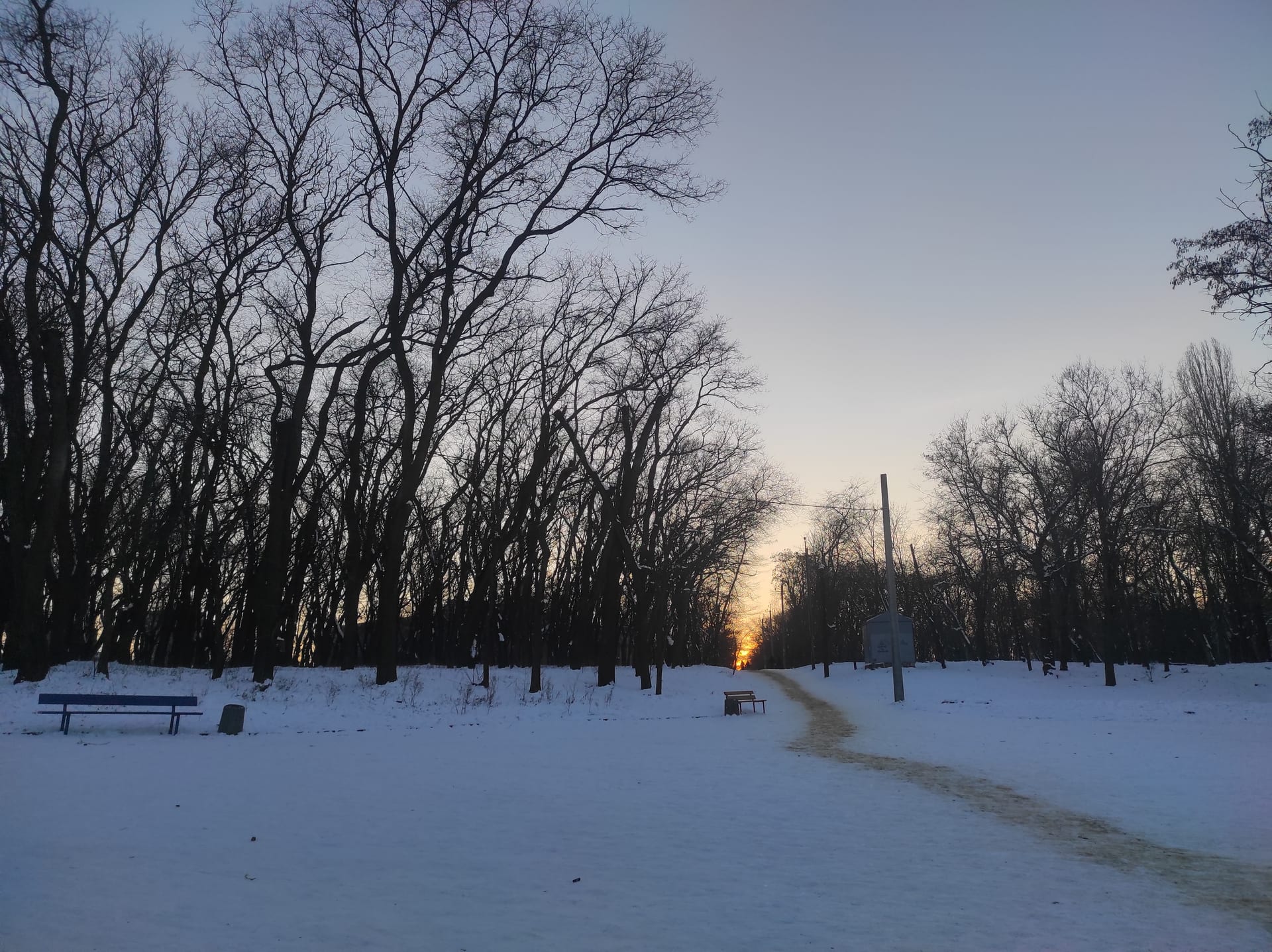 Панорама дорожки, Дюківський сад (Дюковський парк), Одеса